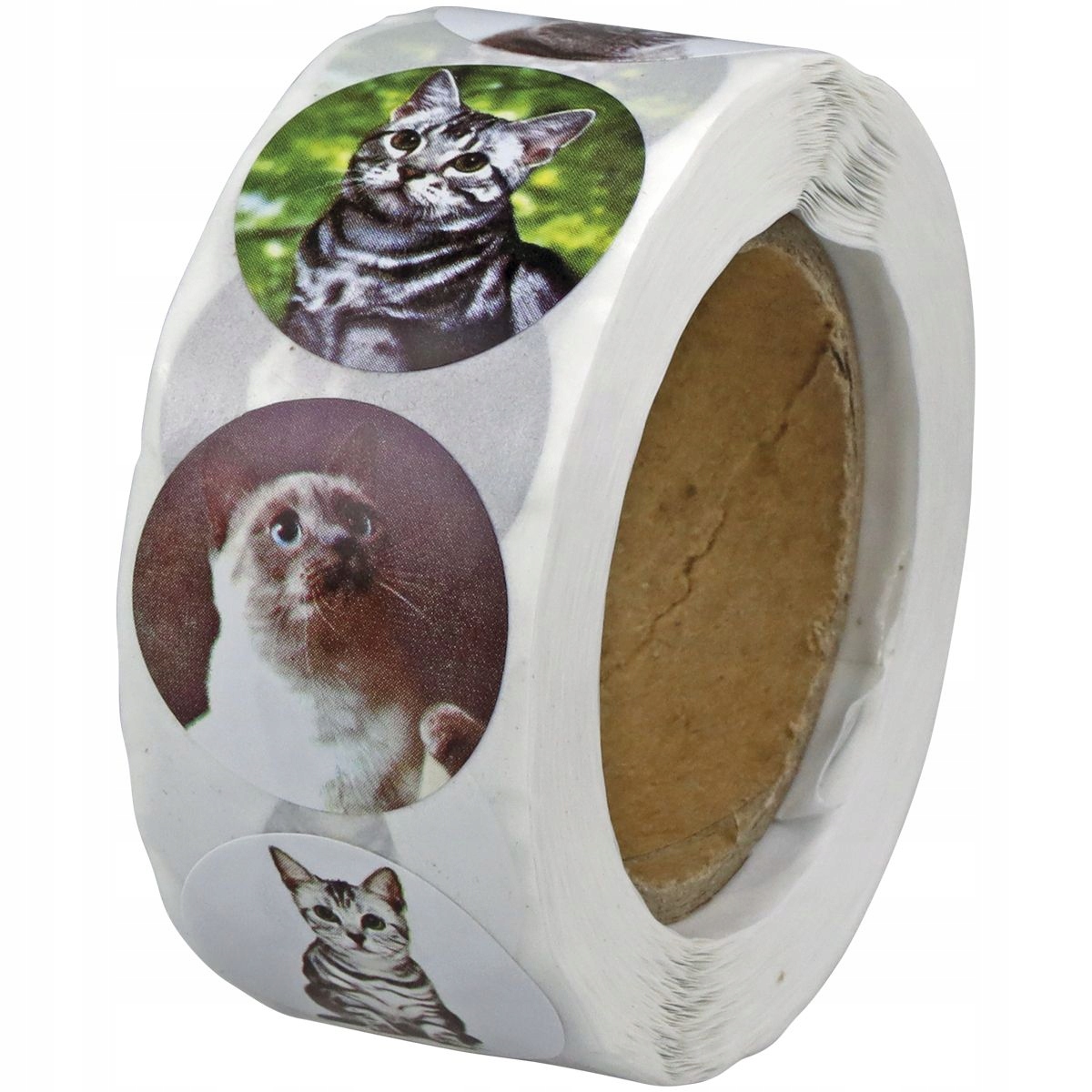 Naklejki papierowe na taśmie Koty 25mm – Idealne do biura i kreatywnych projektów