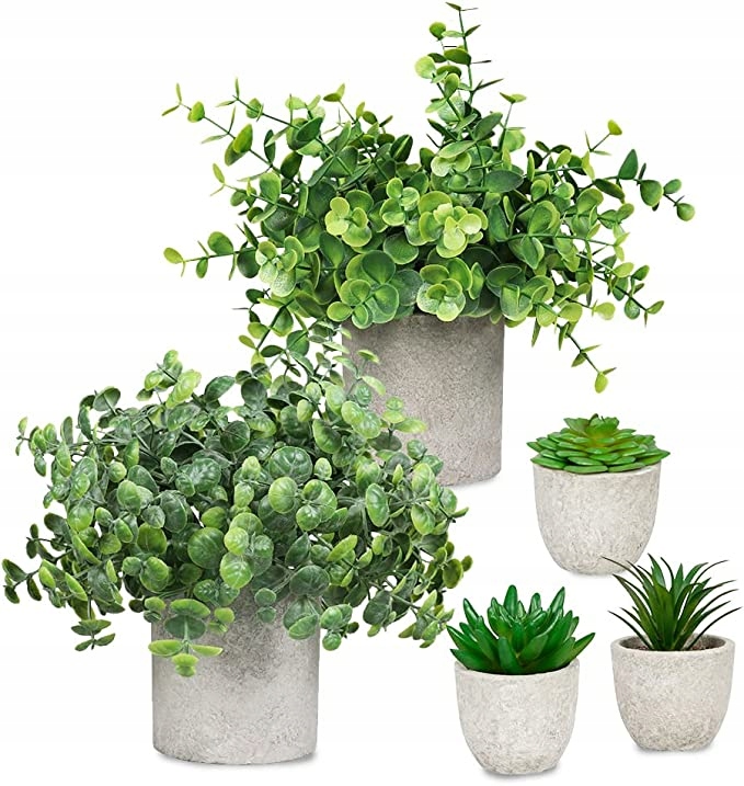 Ekologiczne materiały – Sztuczne sukulenty z recyklingu