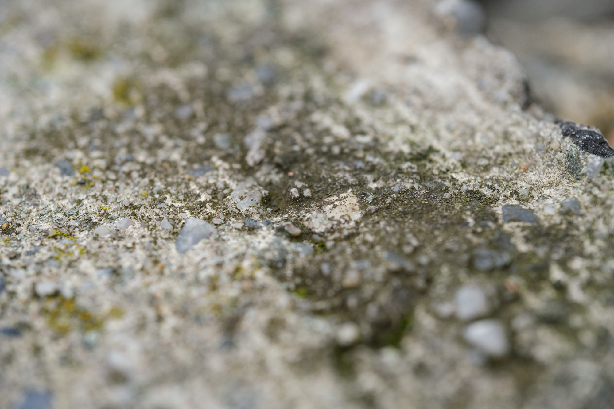 Obiektyw Voigtlander Macro APO Ultron D35 mm f/2,0 do Nikon Z