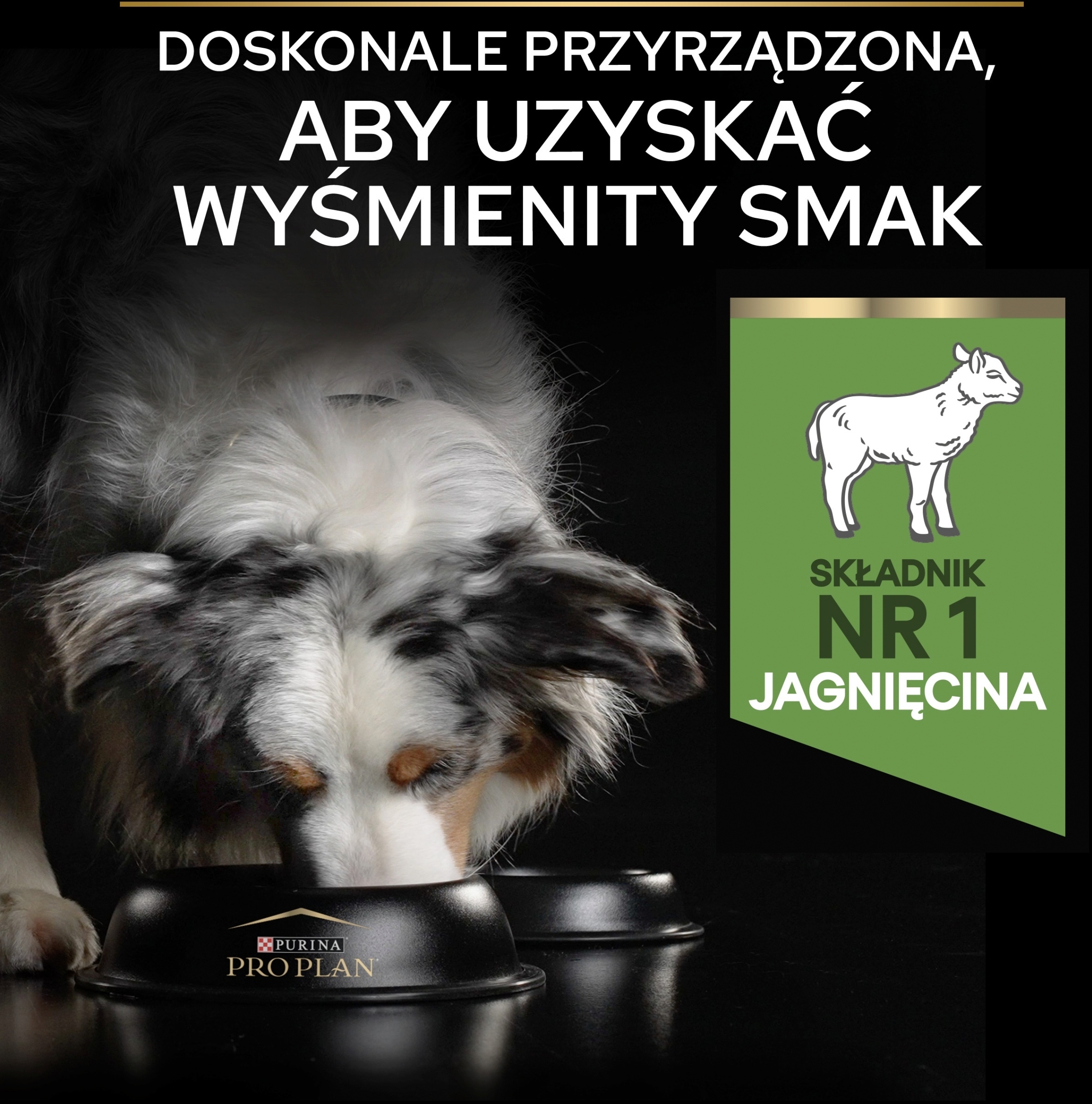 Jagnięcina jako źródło wysokiej jakości białka