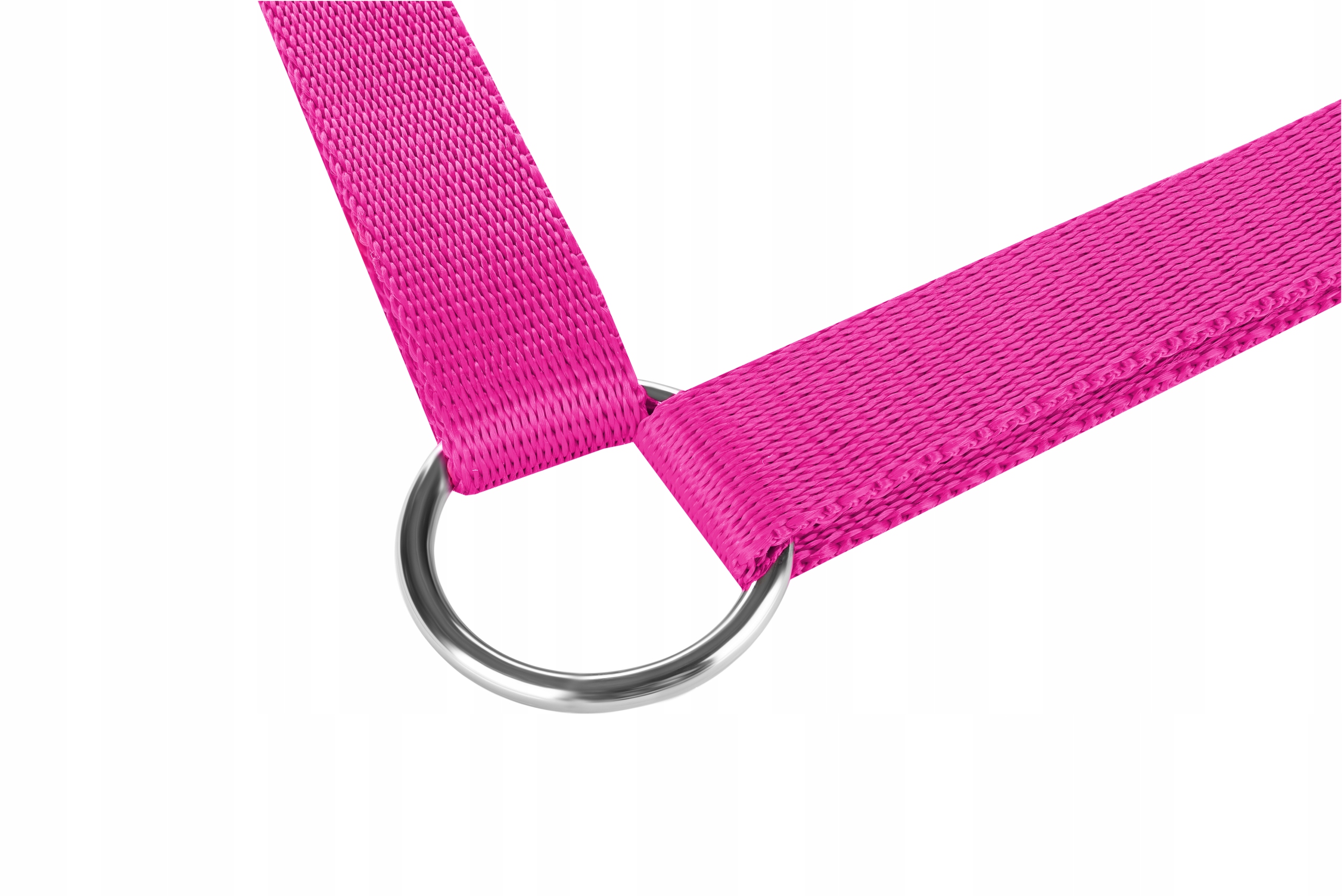 Stylowy kolor fuksja – modny dodatek dla pupila