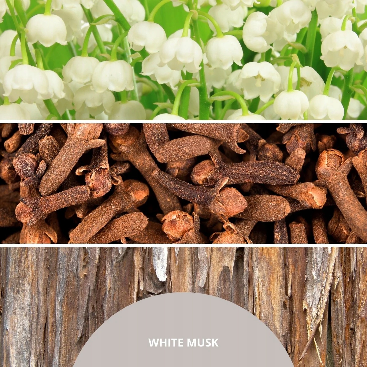 Wyjątkowy zapach White Musk – Kwiatowe nuty dla relaksu