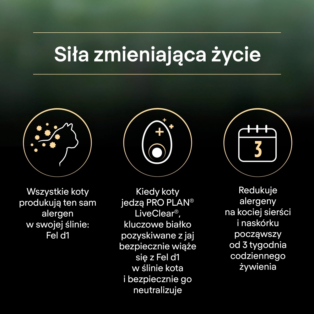 Innowacyjna technologia LiveClear – Redukcja alergenów na sierści kota