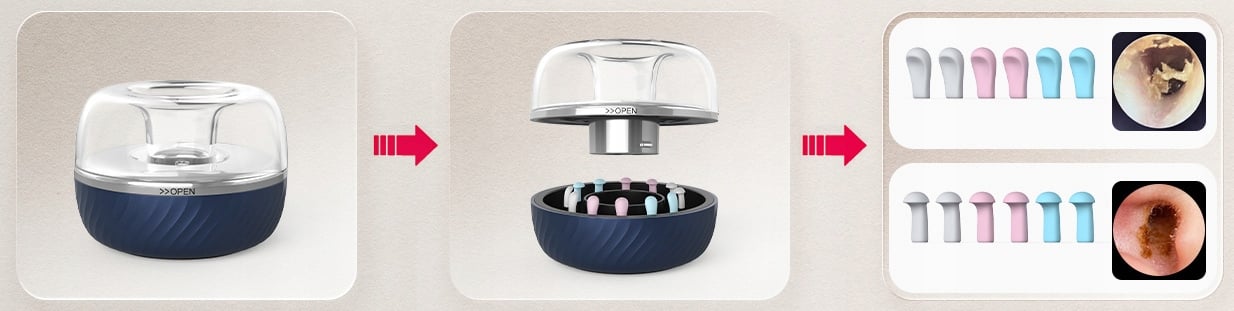 Wygodne korzystanie dzięki aplikacji Bebird