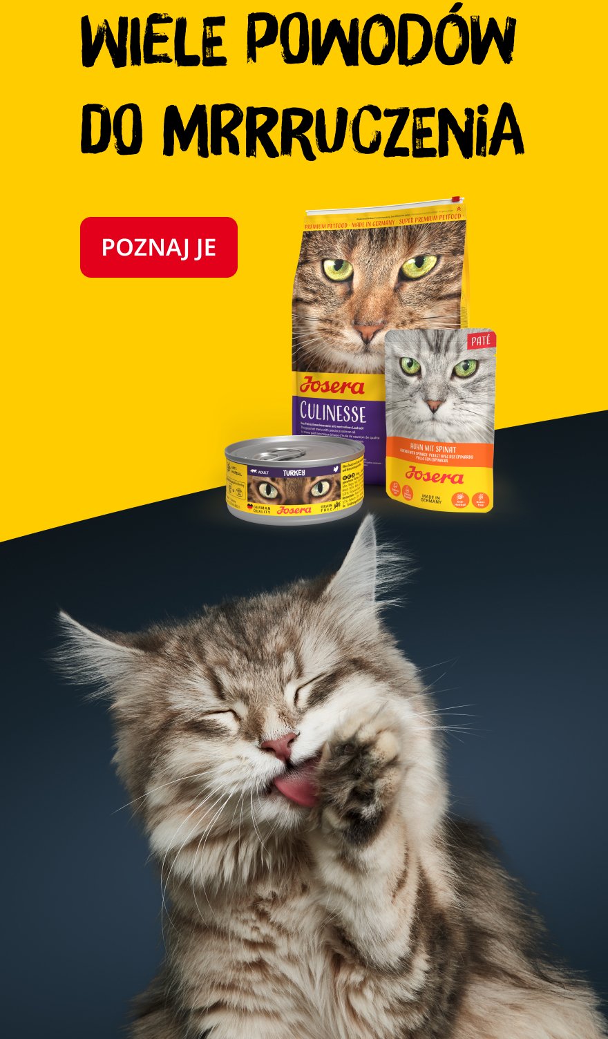 Banner dla kotów (mobile)