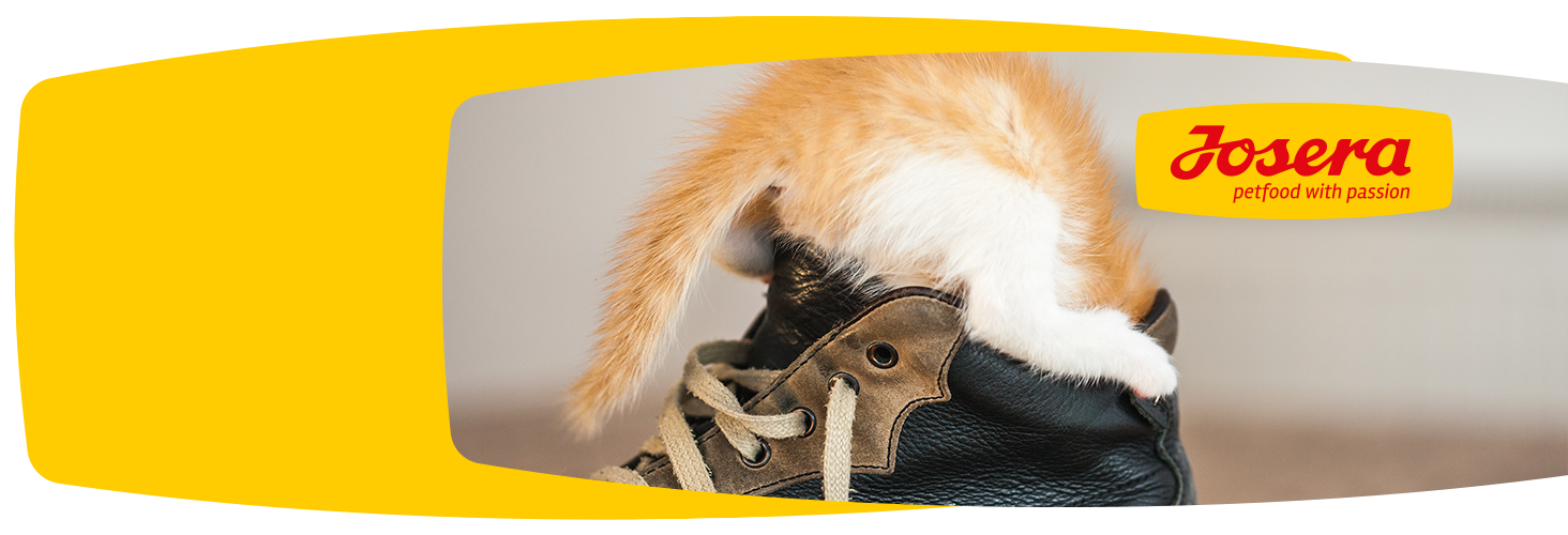 Dobry skład karmy - szczęśliwe zwierzę Dobry skład karmy - szczęśliwe zwierzę