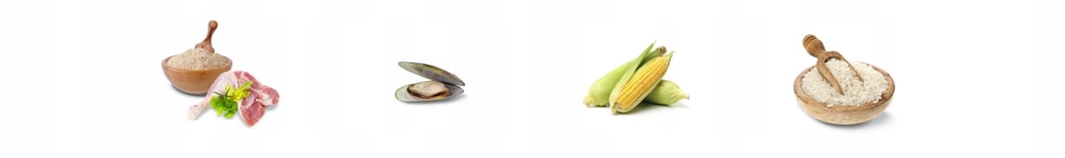 Specjalna receptura z kurczakiem i ryżem