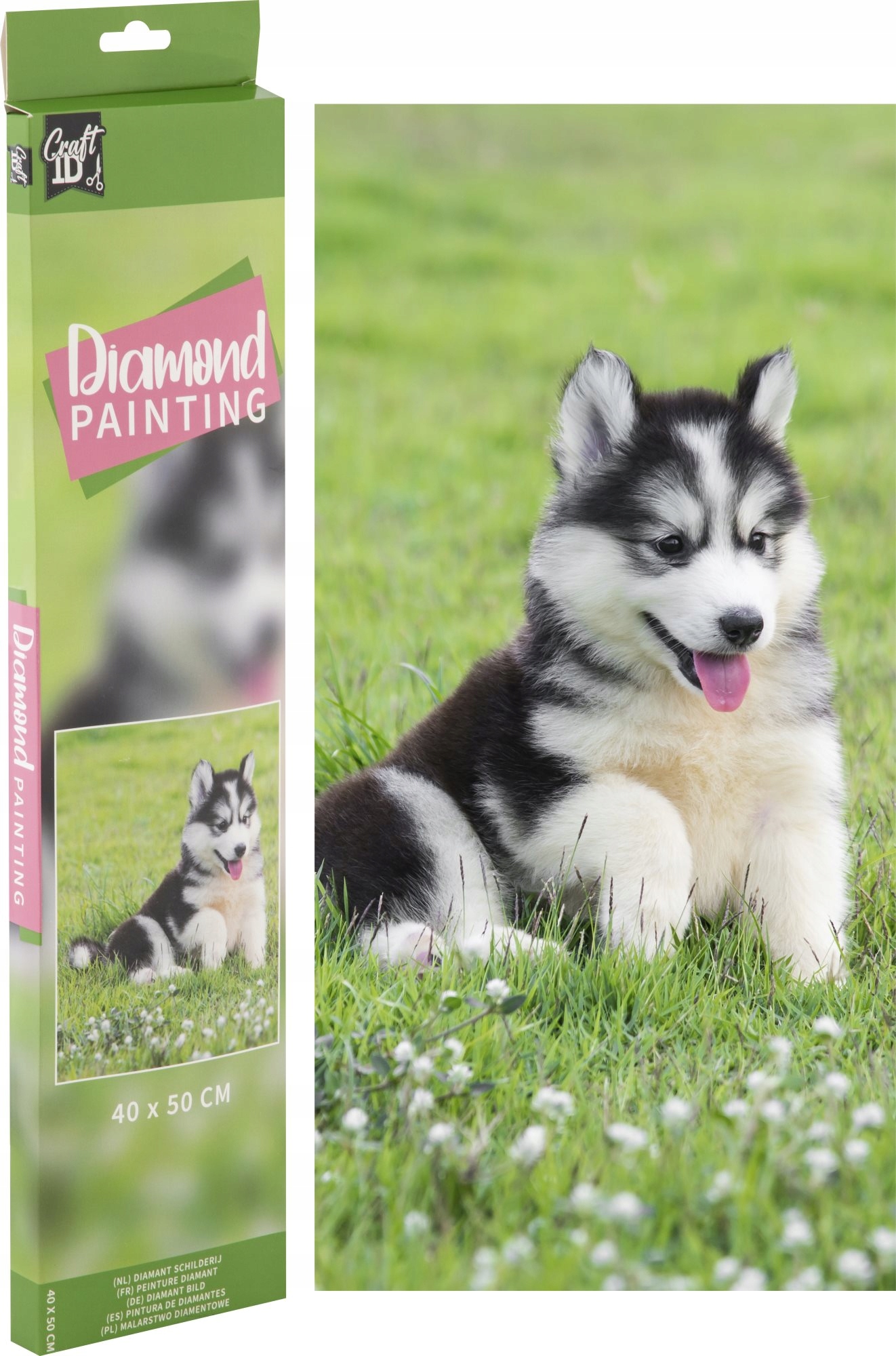 CCG diamentowa mozaika Pies 40x50 CR2099 – Kreatywna zabawa dla dzieci