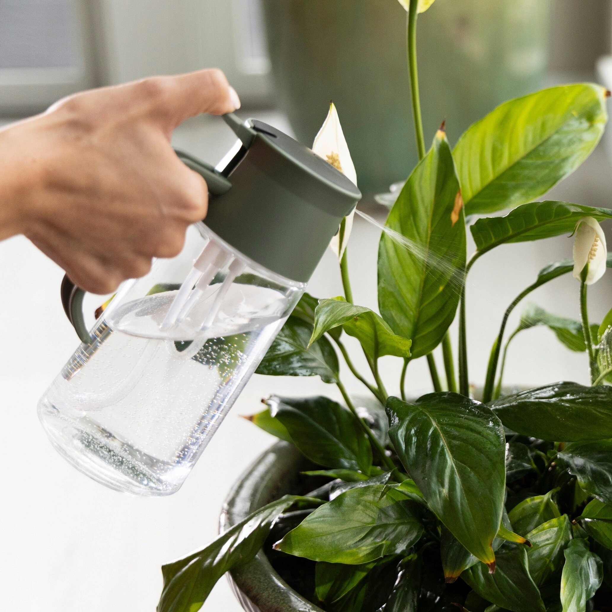 Funkcjonalność zraszania i podlewania roślin