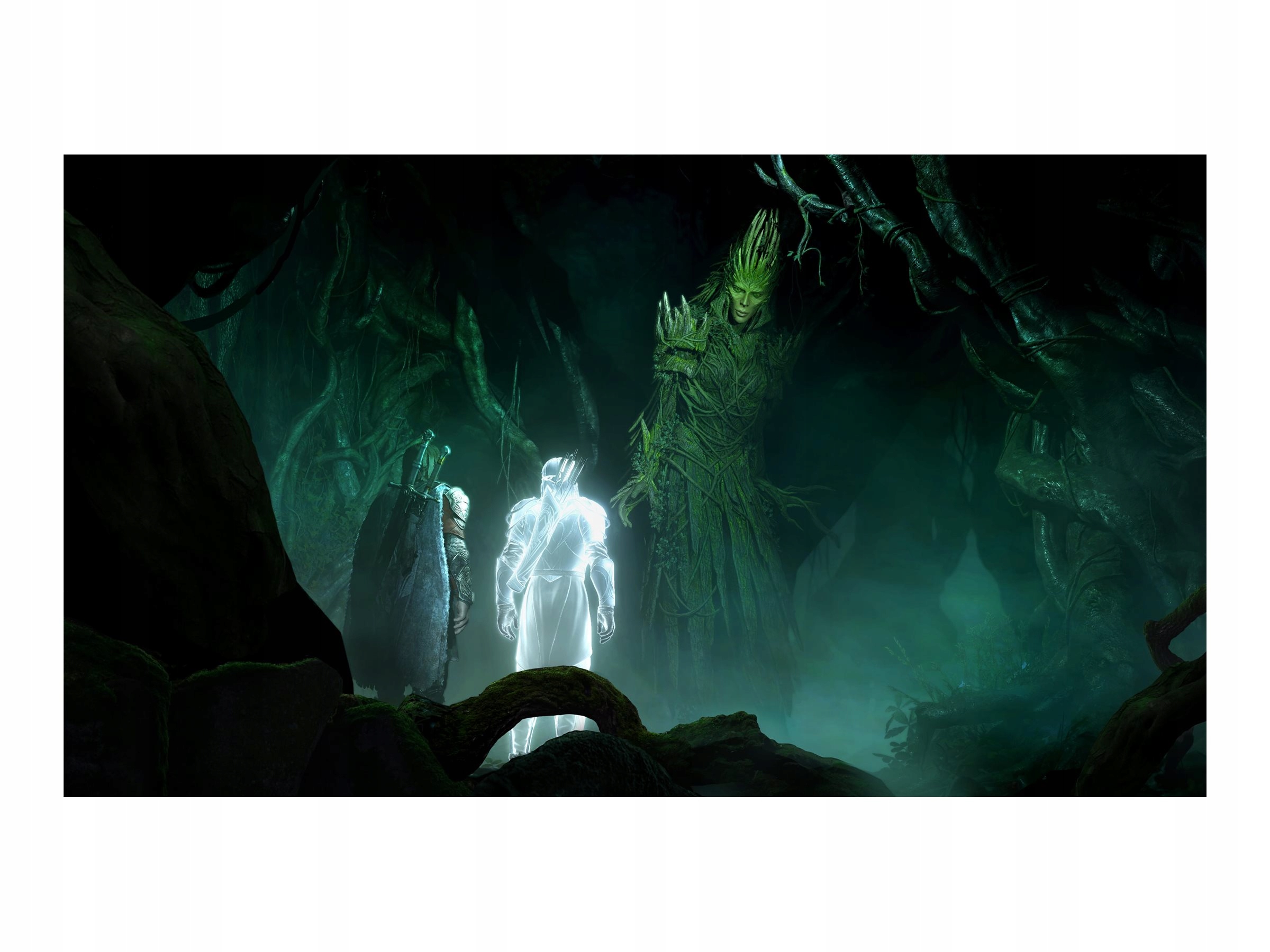 Licencja ESD – dostęp do dodatku