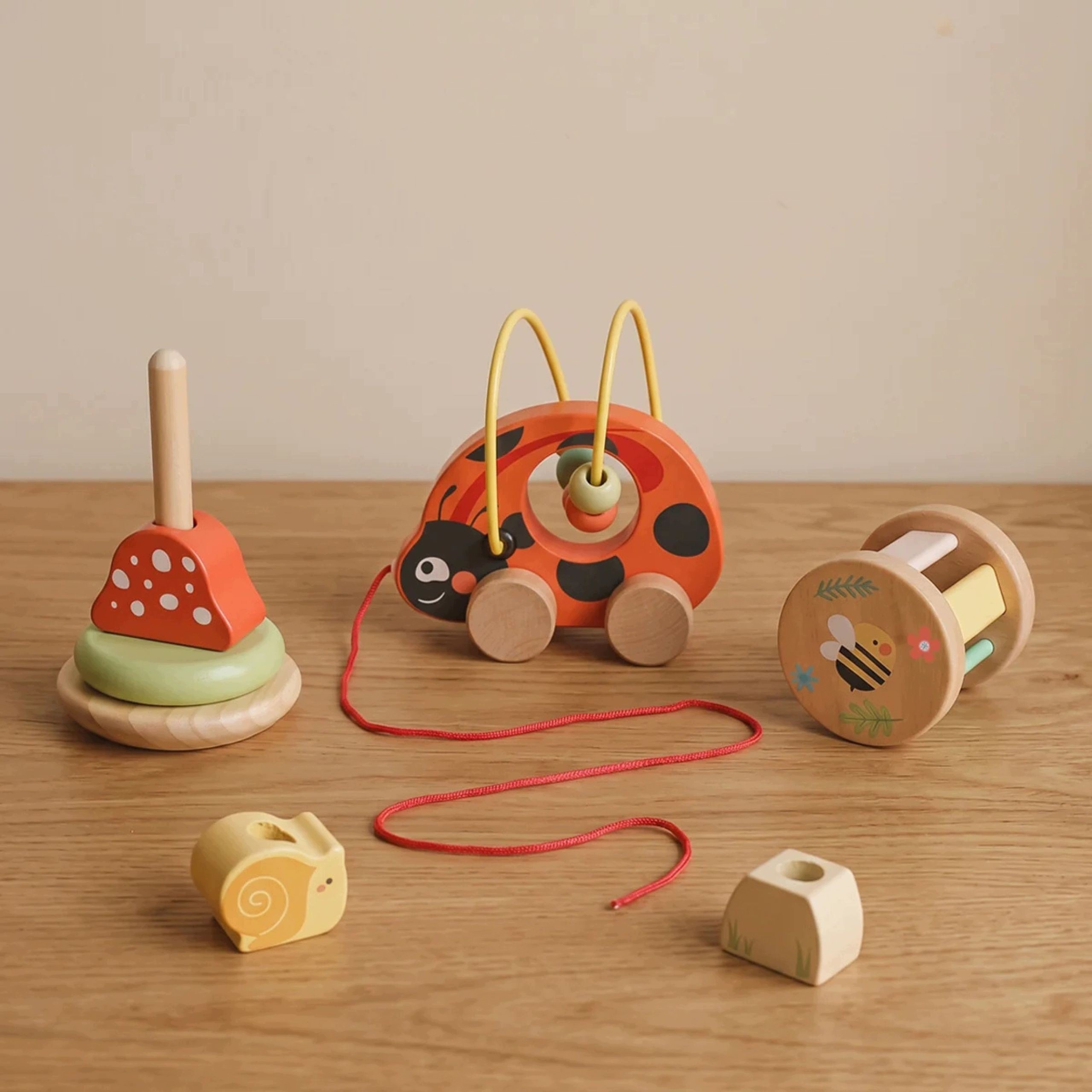 Zestaw Zabawek Montessori od 12m+ - Biedronka do Zabawy Rozwojowej 3w1