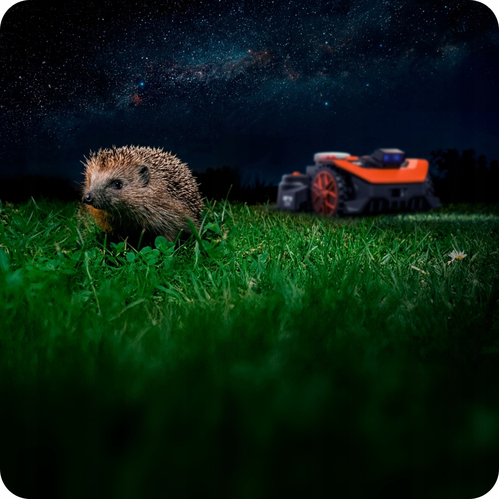 Wydajność koszenia na powierzchni do 650 m²