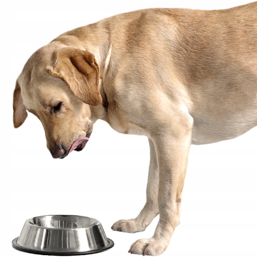 Bezglutenowa i bezzbożowa formuła – Idealna dla wrażliwych psów