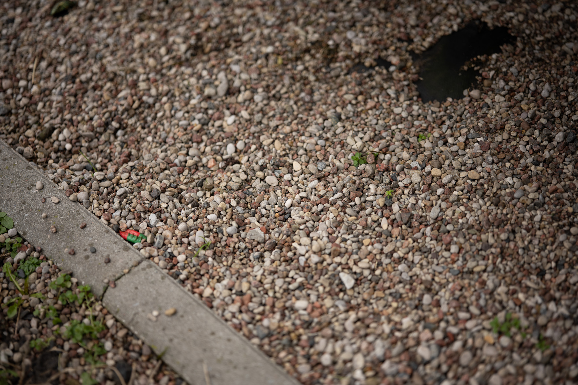 Obiektyw Voigtlander Macro APO Lanthar 65 mm f/2,0 do Nikon Z