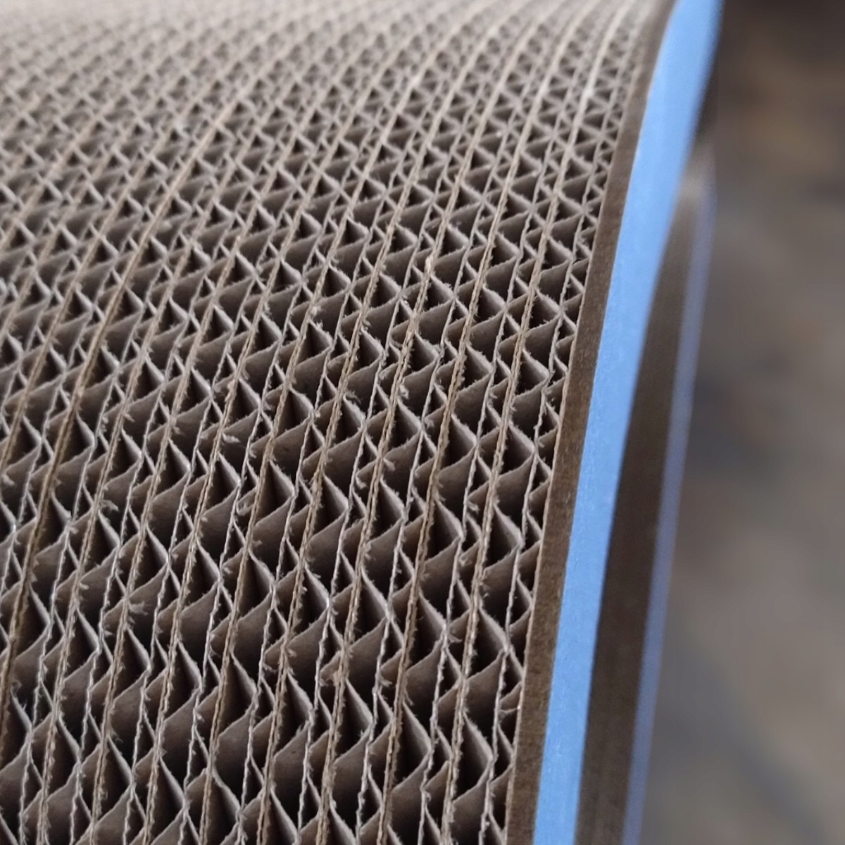 Ekologiczny materiał – Przyjazny dla naszej planety