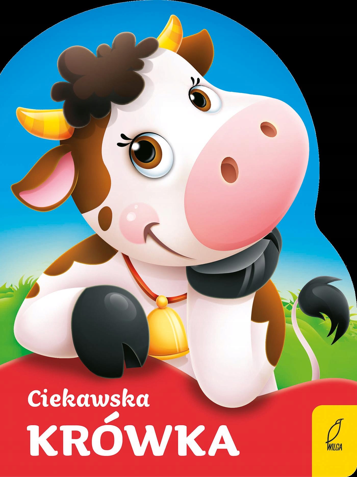 Waga i wymiary produktu