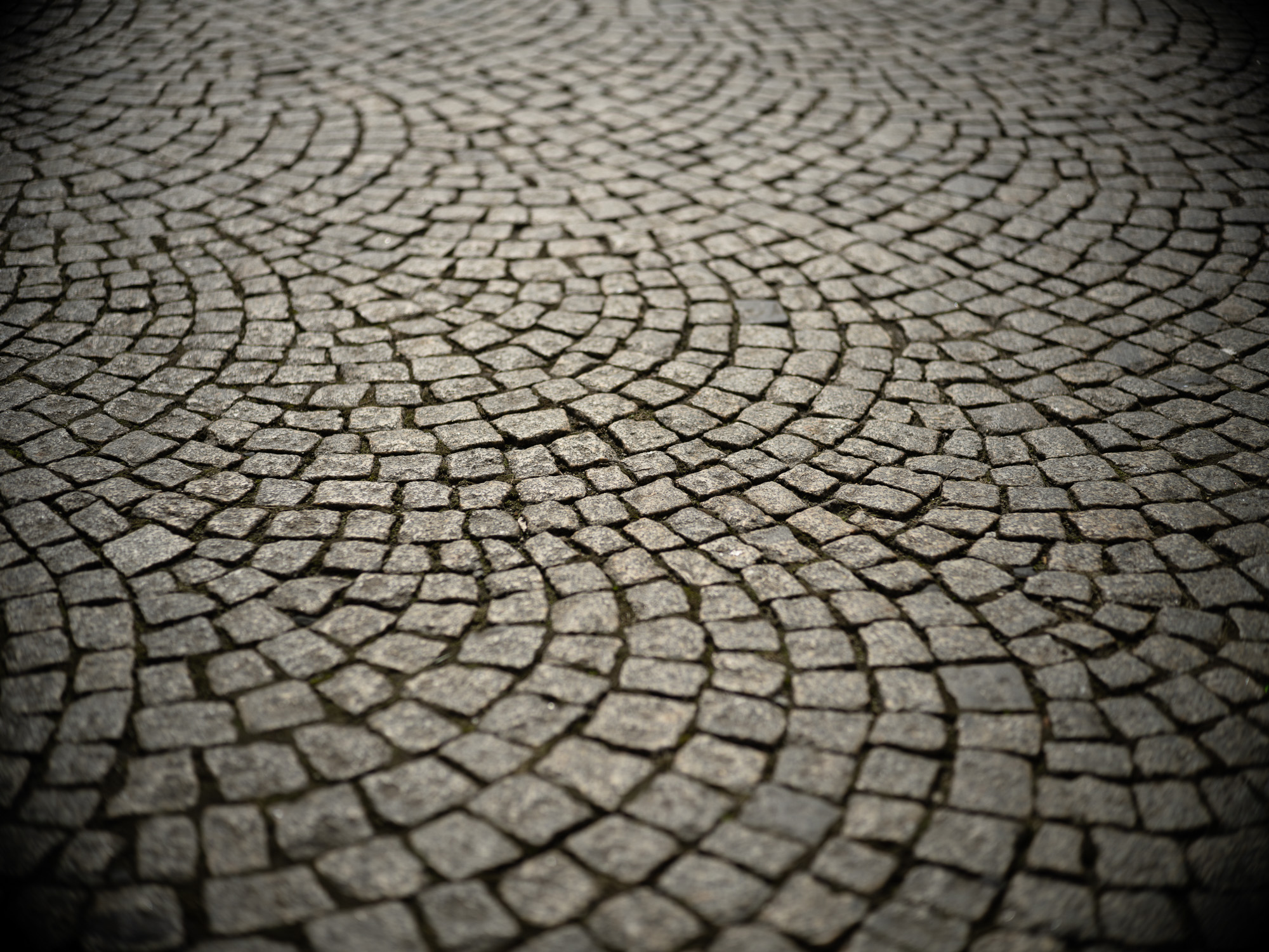 Obiektyw Voigtlander Ultron 75 mm f/1,9 do Leica M - MC