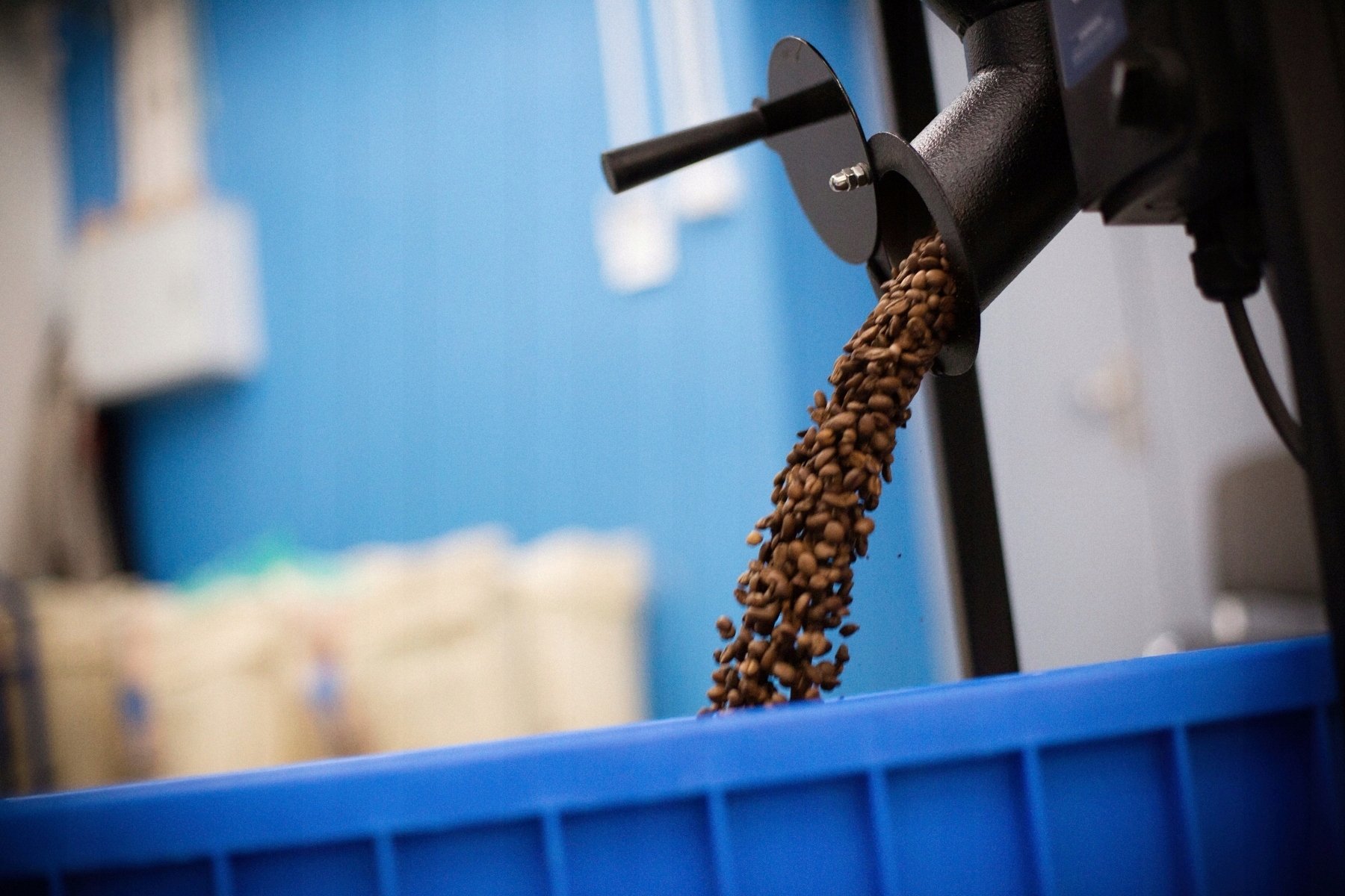 Dlaczego warto wybrać kawę 100% Arabica?