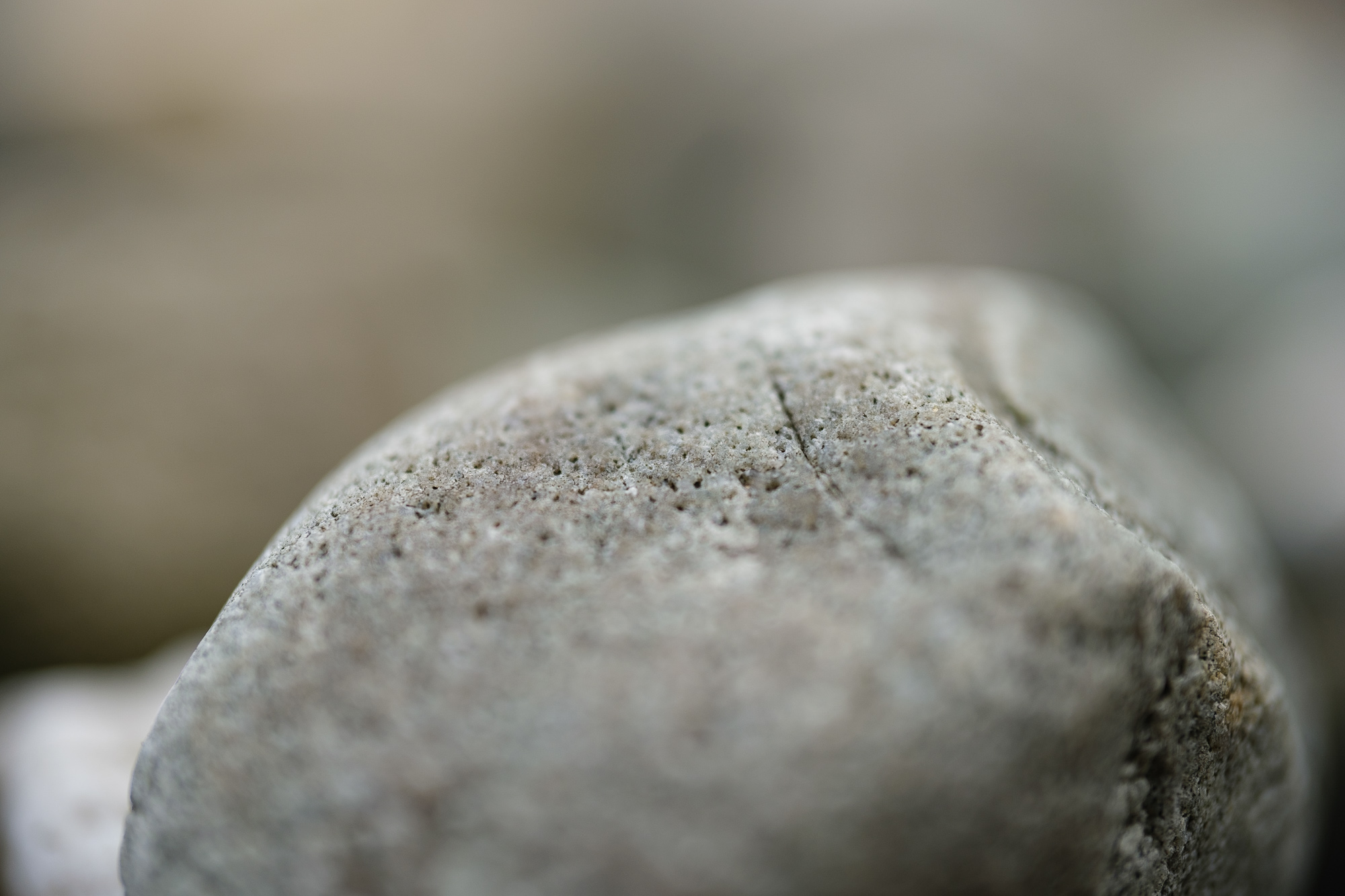 Obiektyw Voigtlander Macro APO Ultron D35 mm f/2,0 do Nikon Z