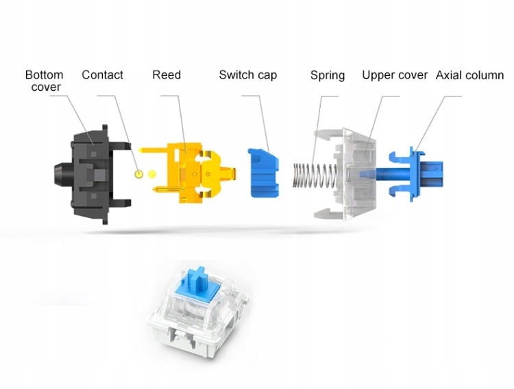 Mechaniczne Przełączniki Outemu Blue – Precyzja i Szybkość