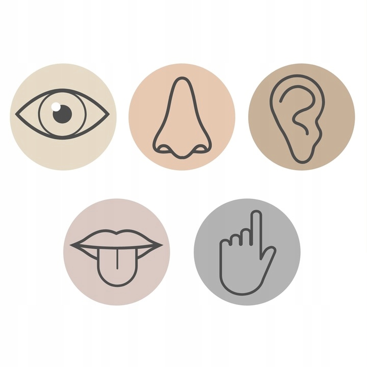 Efekty świetlne – Zabawa w rytmie kolorów