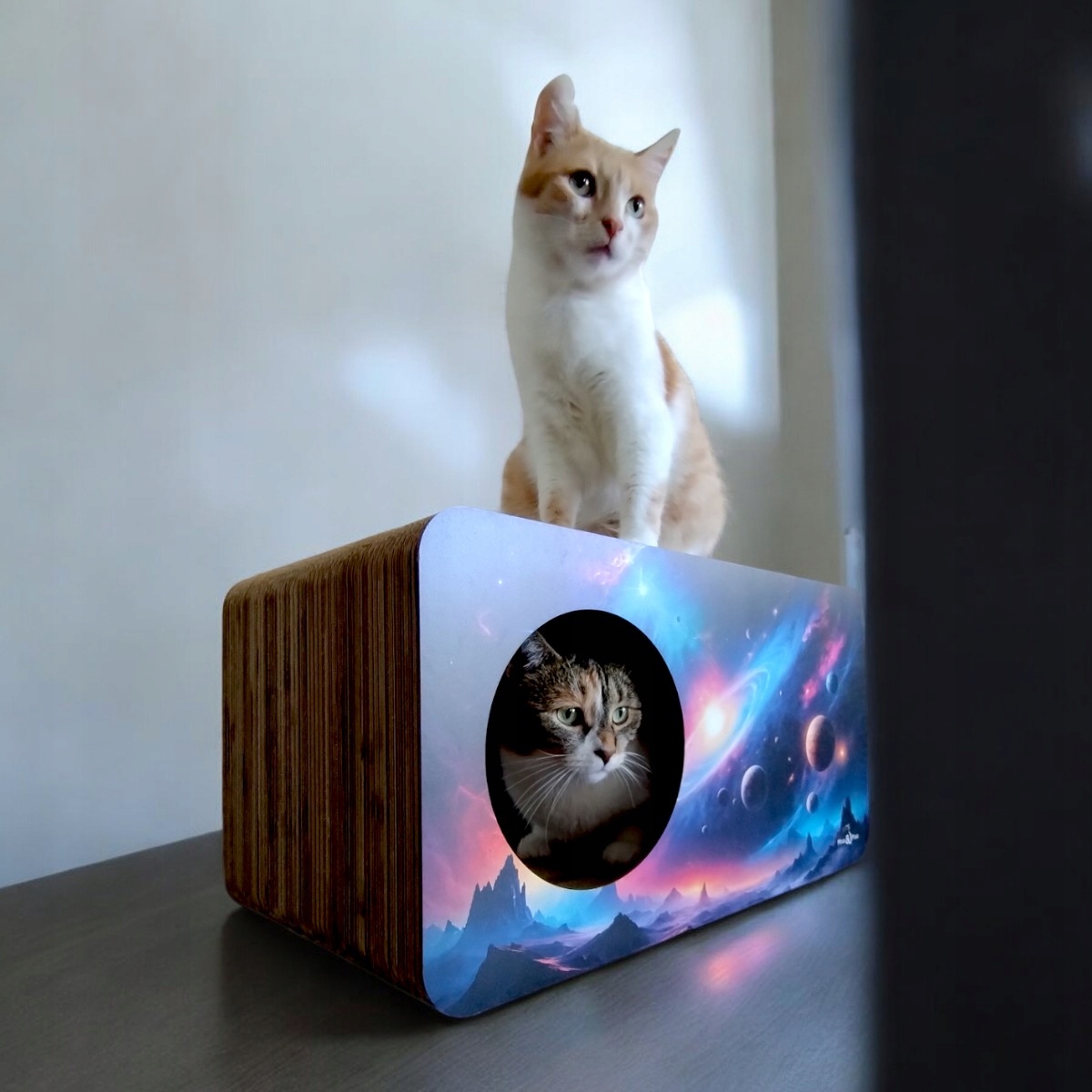 Stylowy dodatek do wnętrza – Elegancki wygląd i nowoczesny design