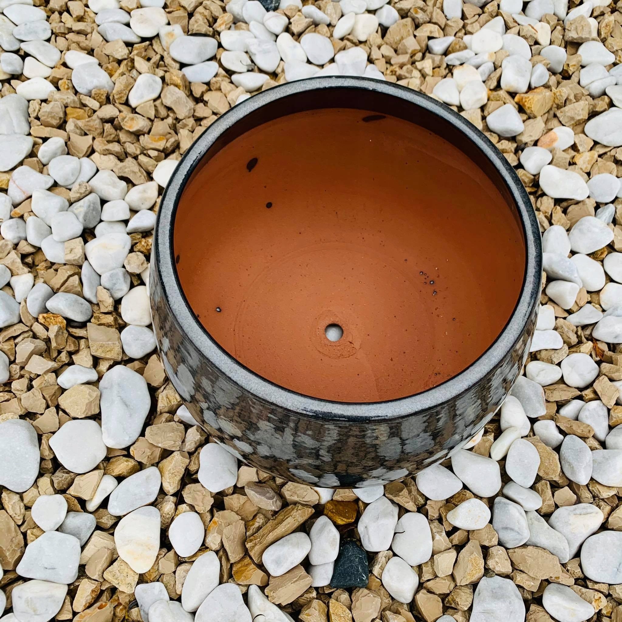 Mrozoodporność i odporność na warunki atmosferyczne