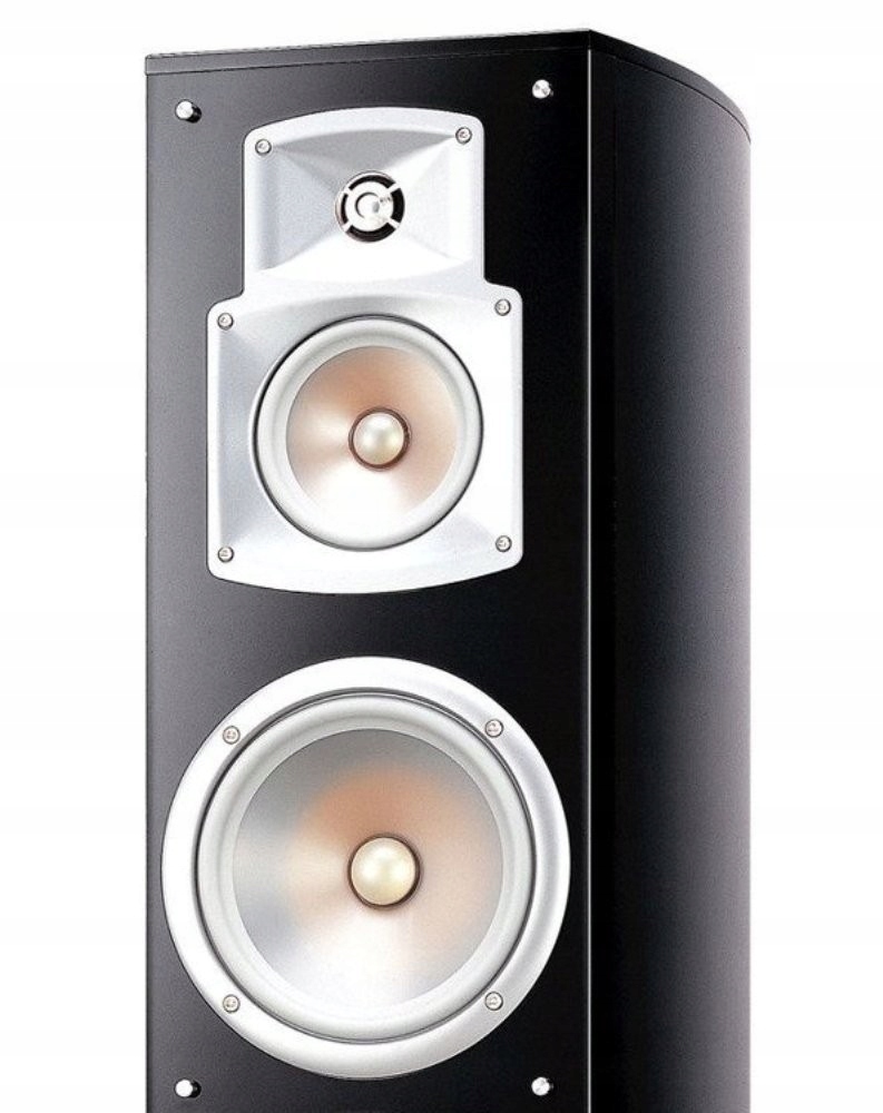 Bi-Wiring – Optymalizacja sygnału audio