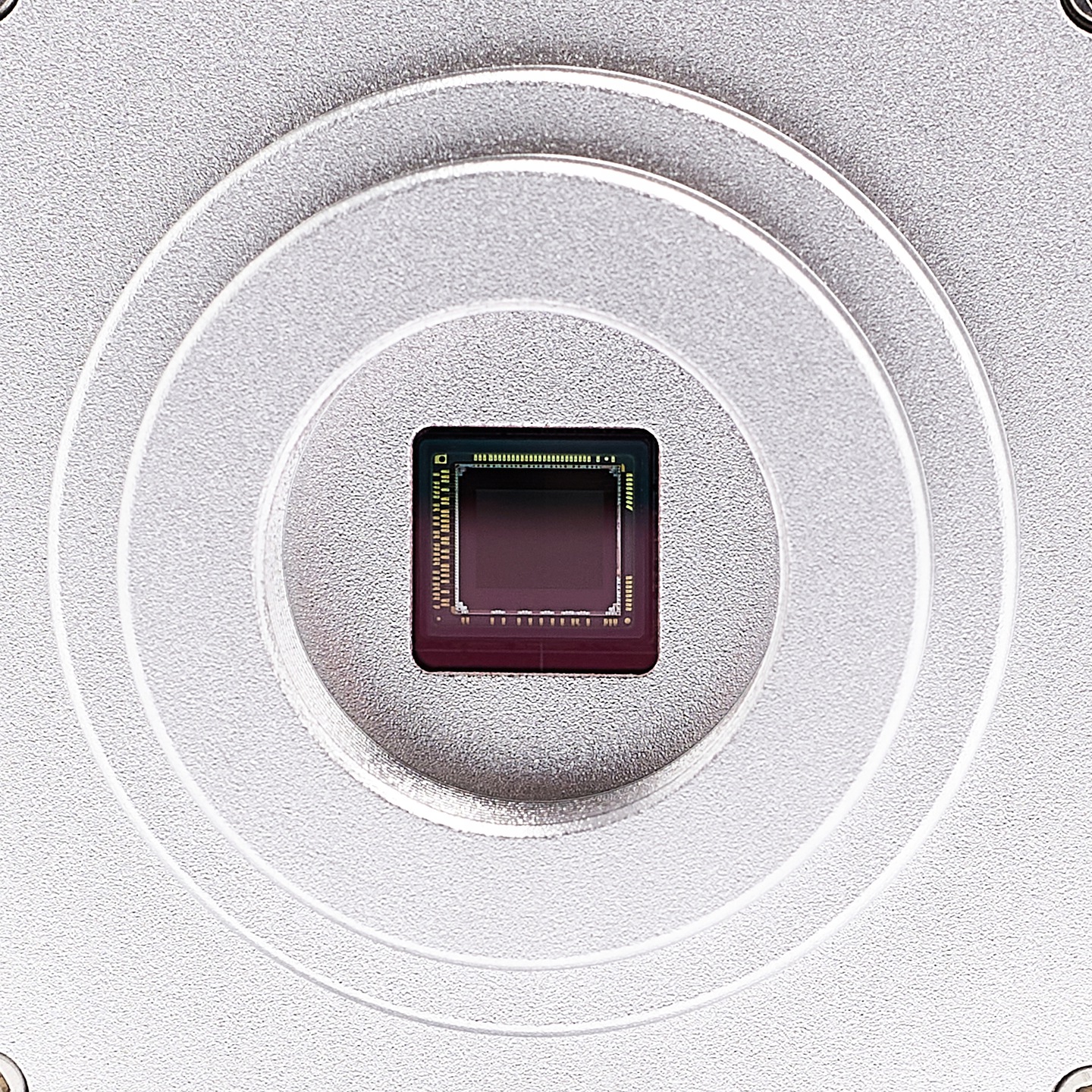 1006737572_2.jpg
