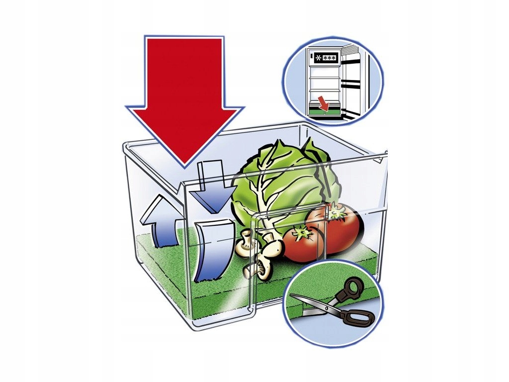 Antypleśniowa i antybakteryjna – Idealne rozwiązanie dla zdrowego przechowywania