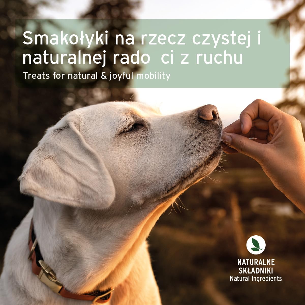 Łatwe do podawania i dzielenia przysmaki