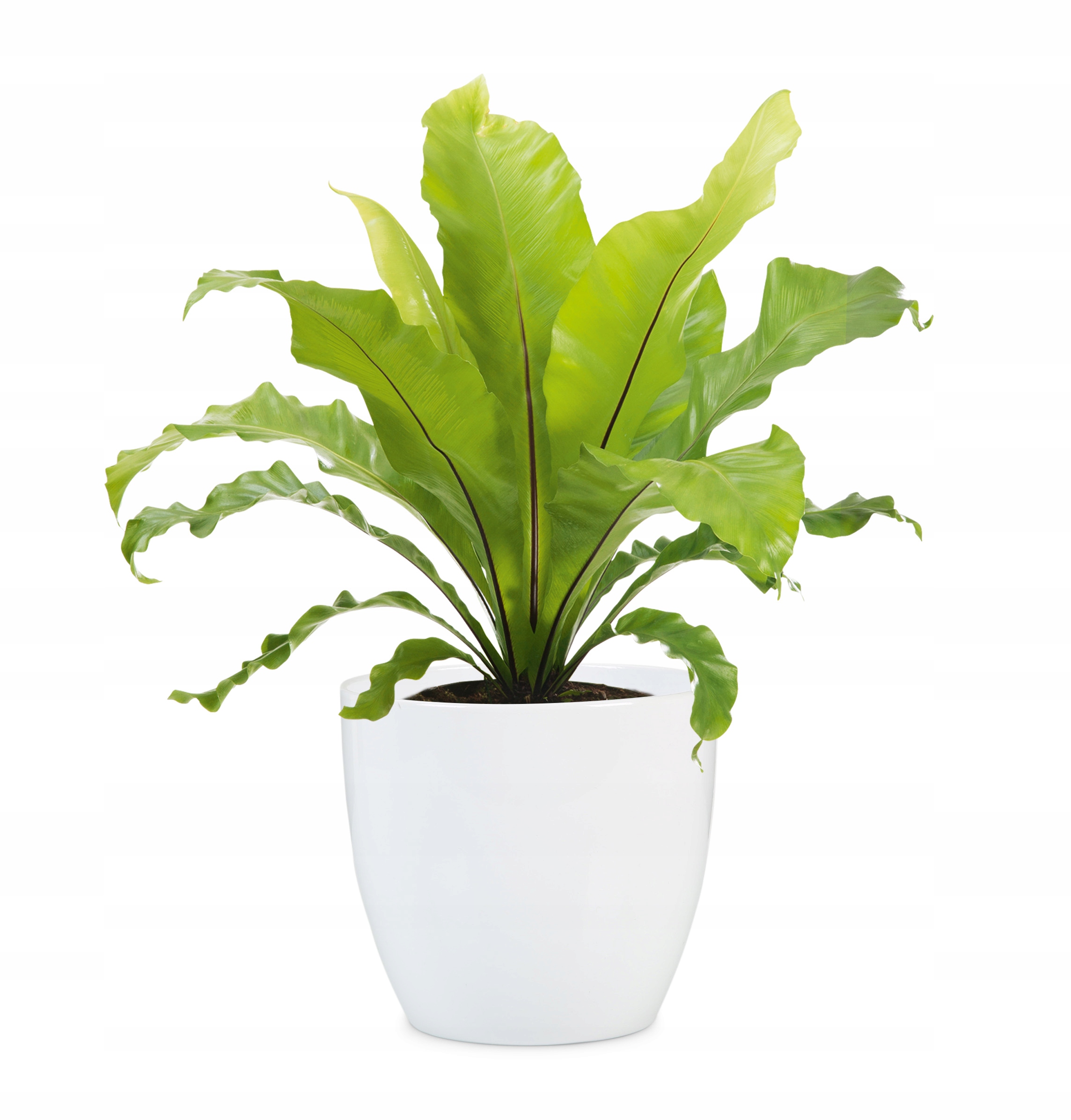 Osłonka ceramiczna FLOWER POT 920/16 ALASKA BIAŁY D16 – Elegancja w Twoim domu