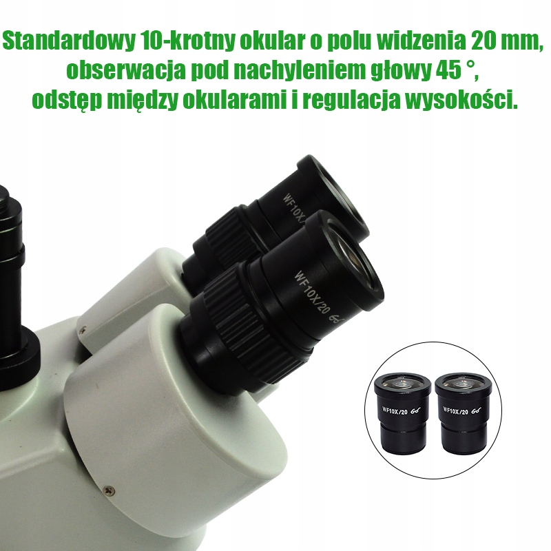 1006737350_10.jpg