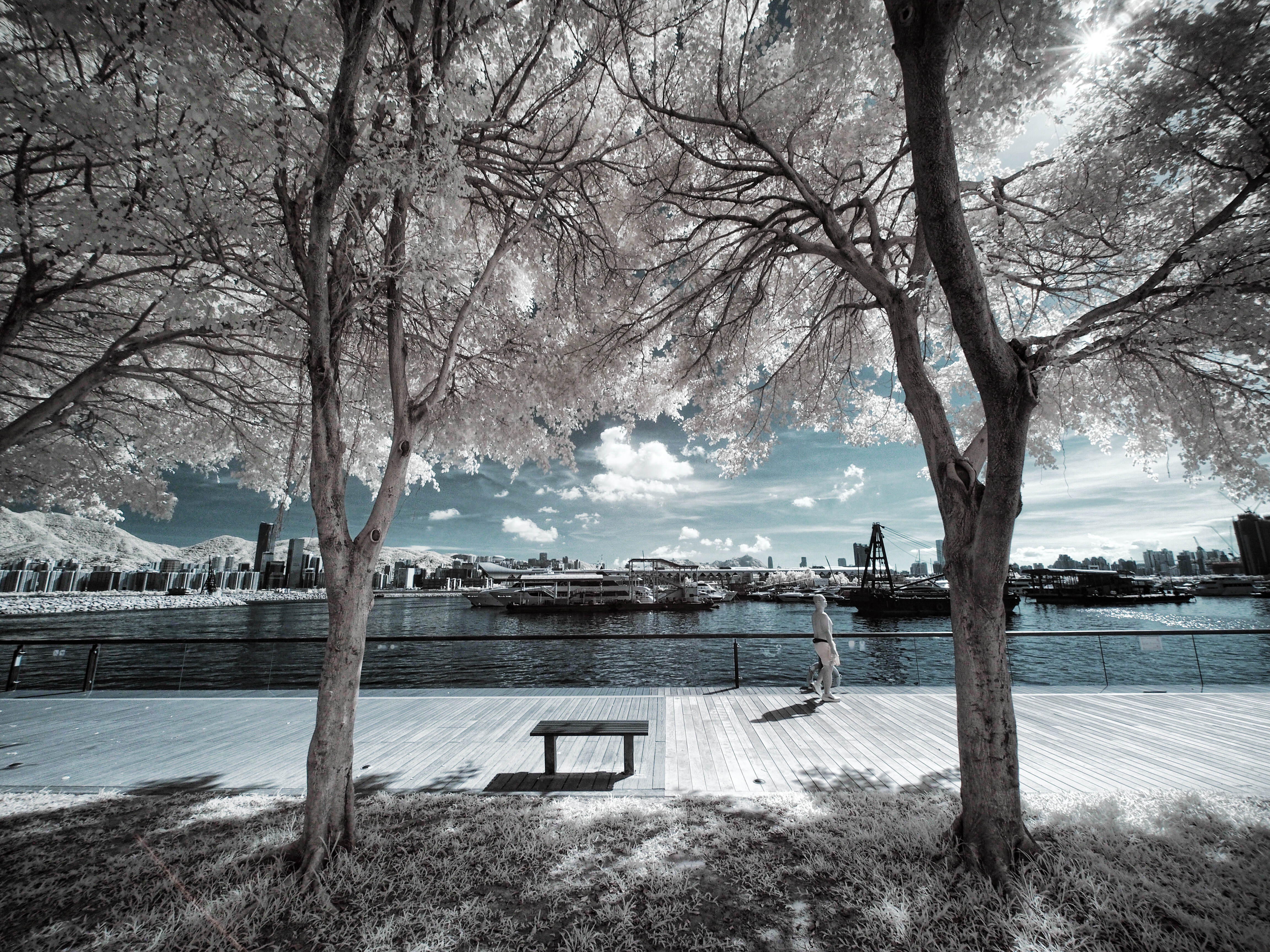 Obiektyw Venus Optics Laowa C-Dreamer 6 mm f/2,0 do Micro 4/3