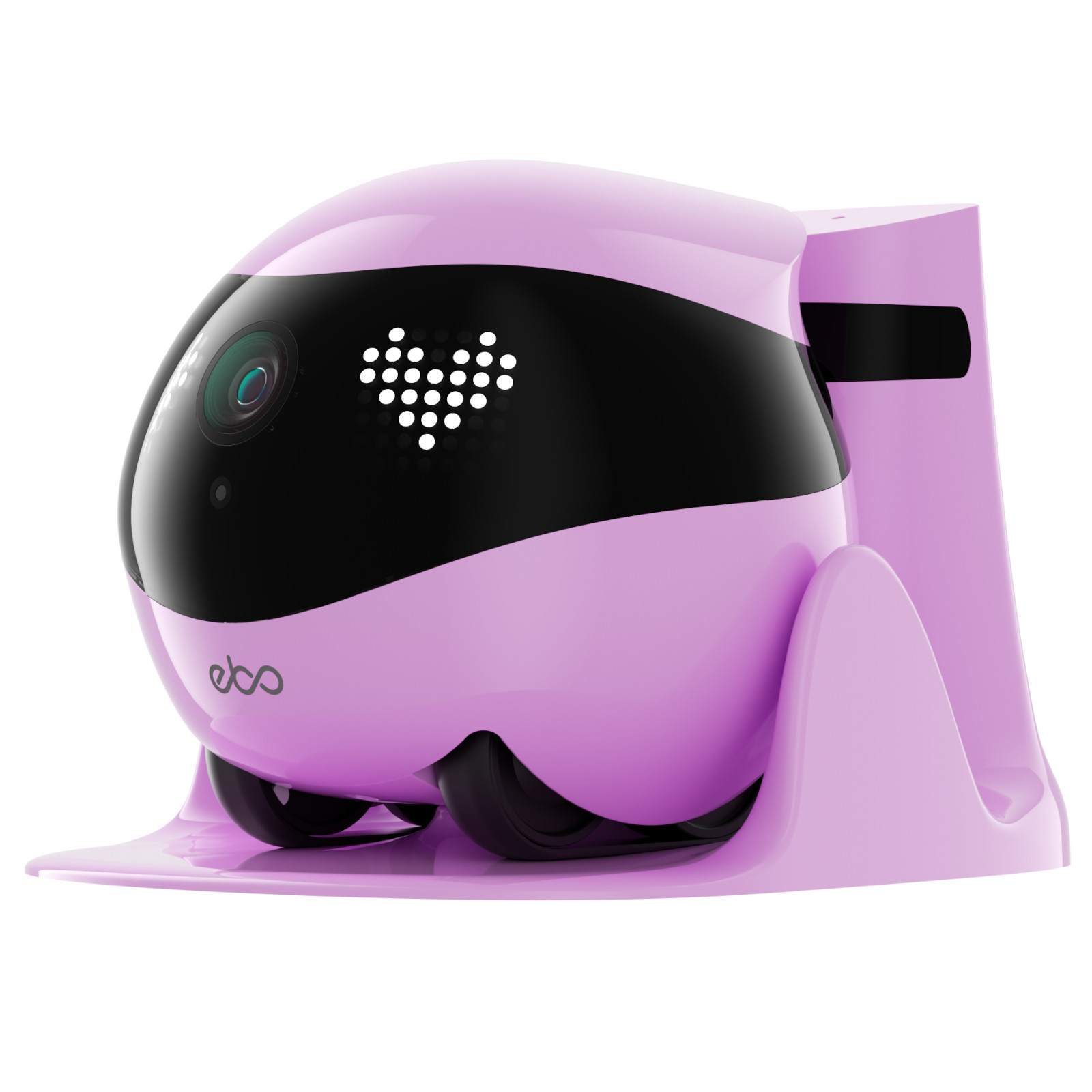 Opieka nad zwierzętami i interaktywne funkcje