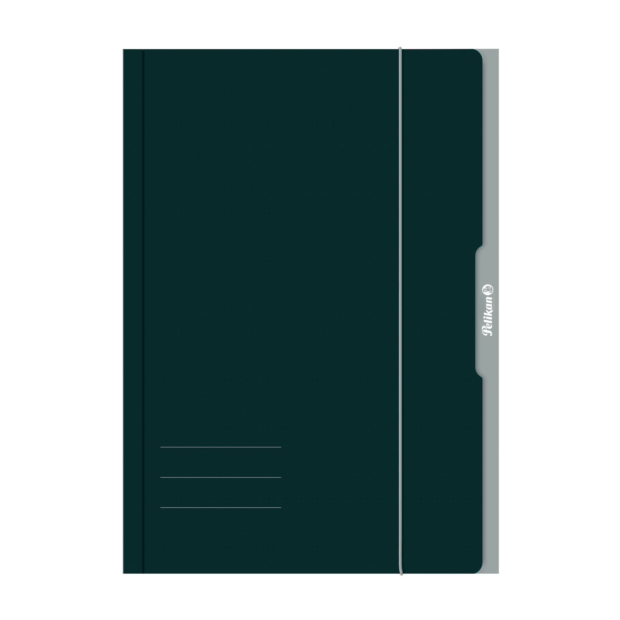 Pelikan 276856 – Zielona okładka kartonowa A3*