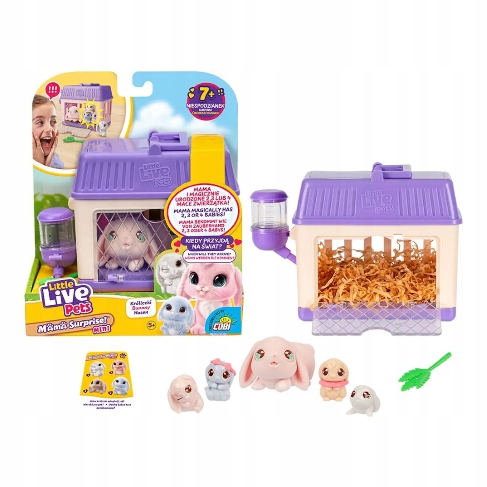 Zawartość zestawu – Co znajdziesz w opakowaniu?