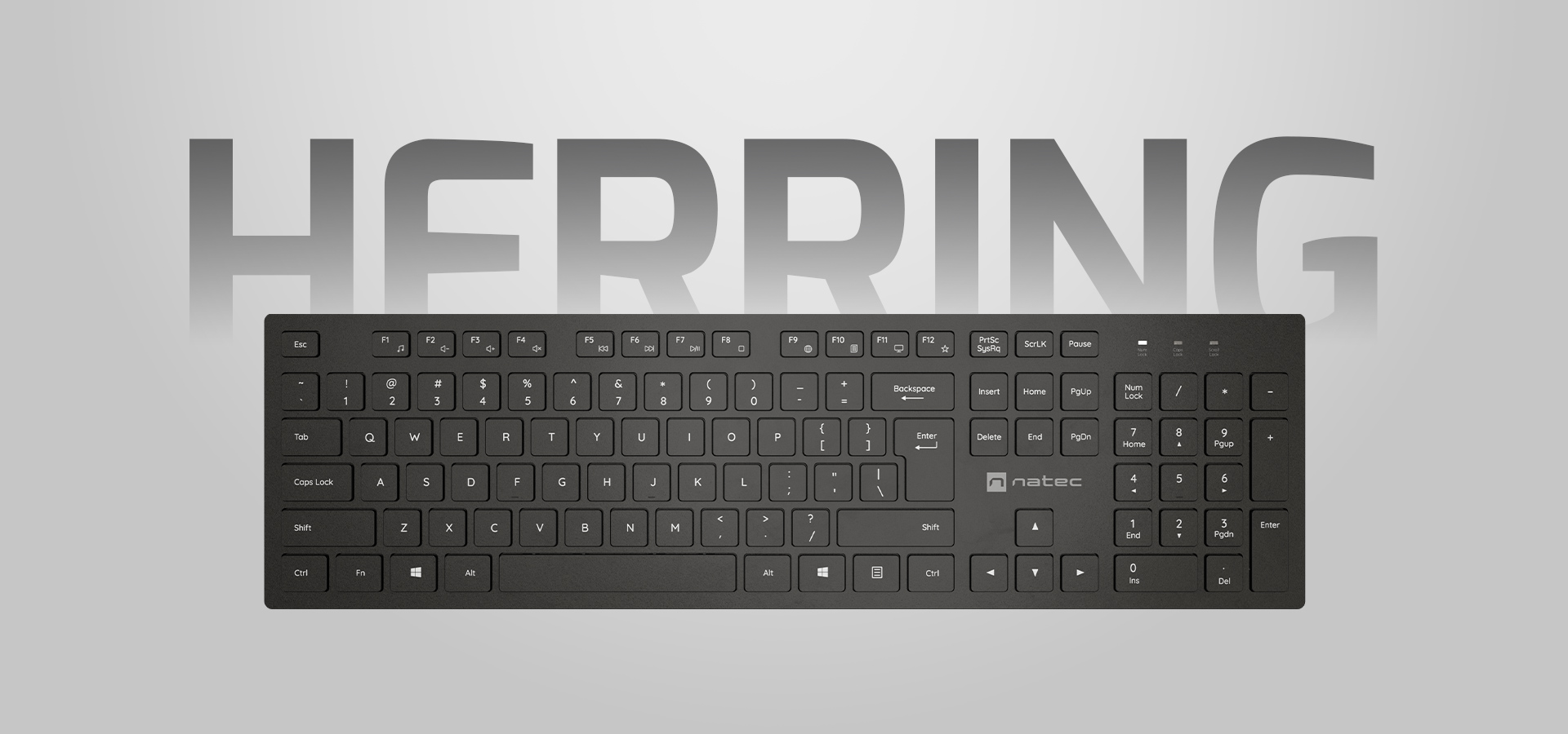 Smukła, czarna klawiatura multimedialna ze standardowymi klawiszami i nowoczesnym wzornictwem