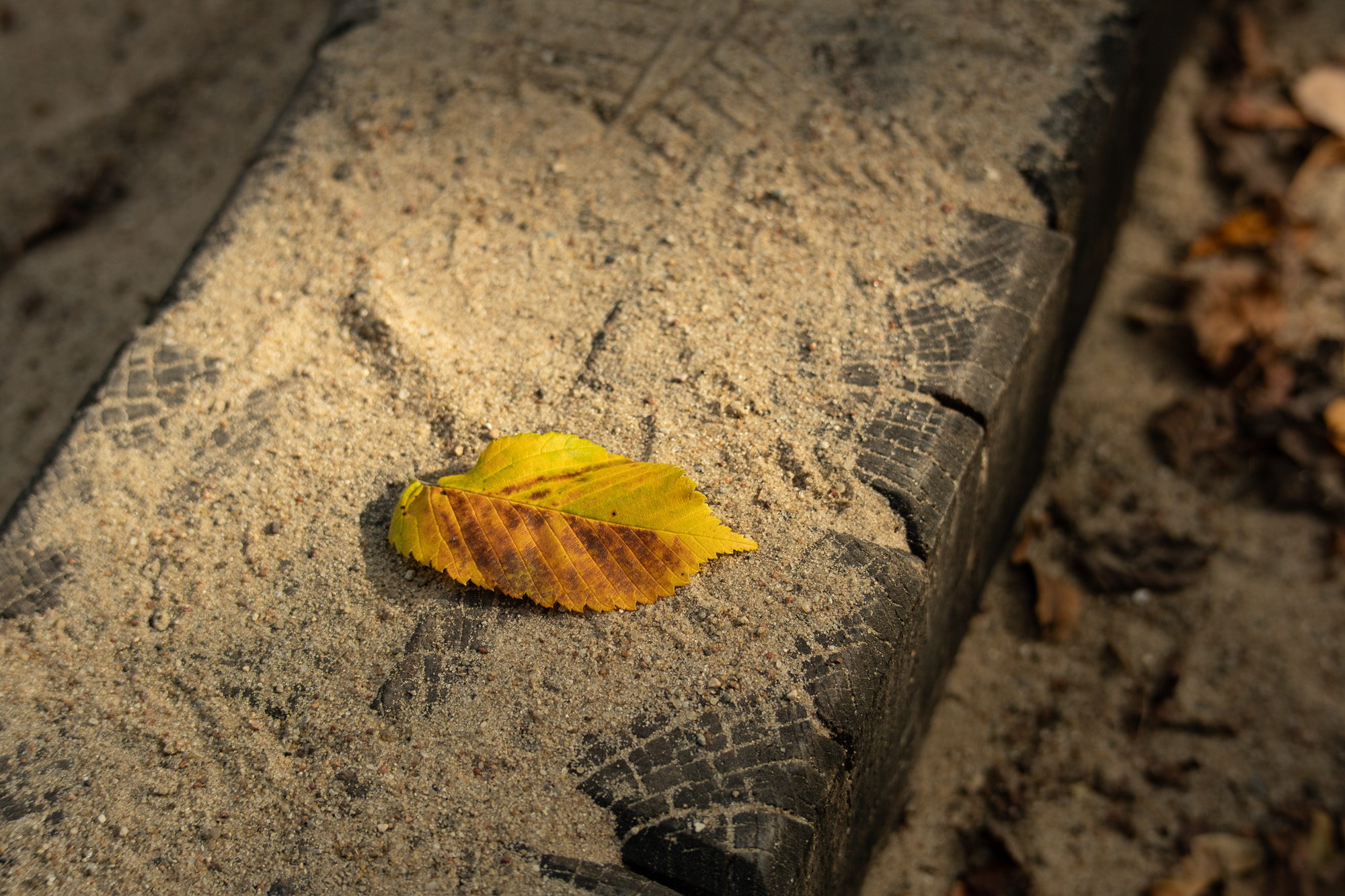 Obiektyw Voigtlander Nokton 50 mm f/1,2 do Fujifilm X