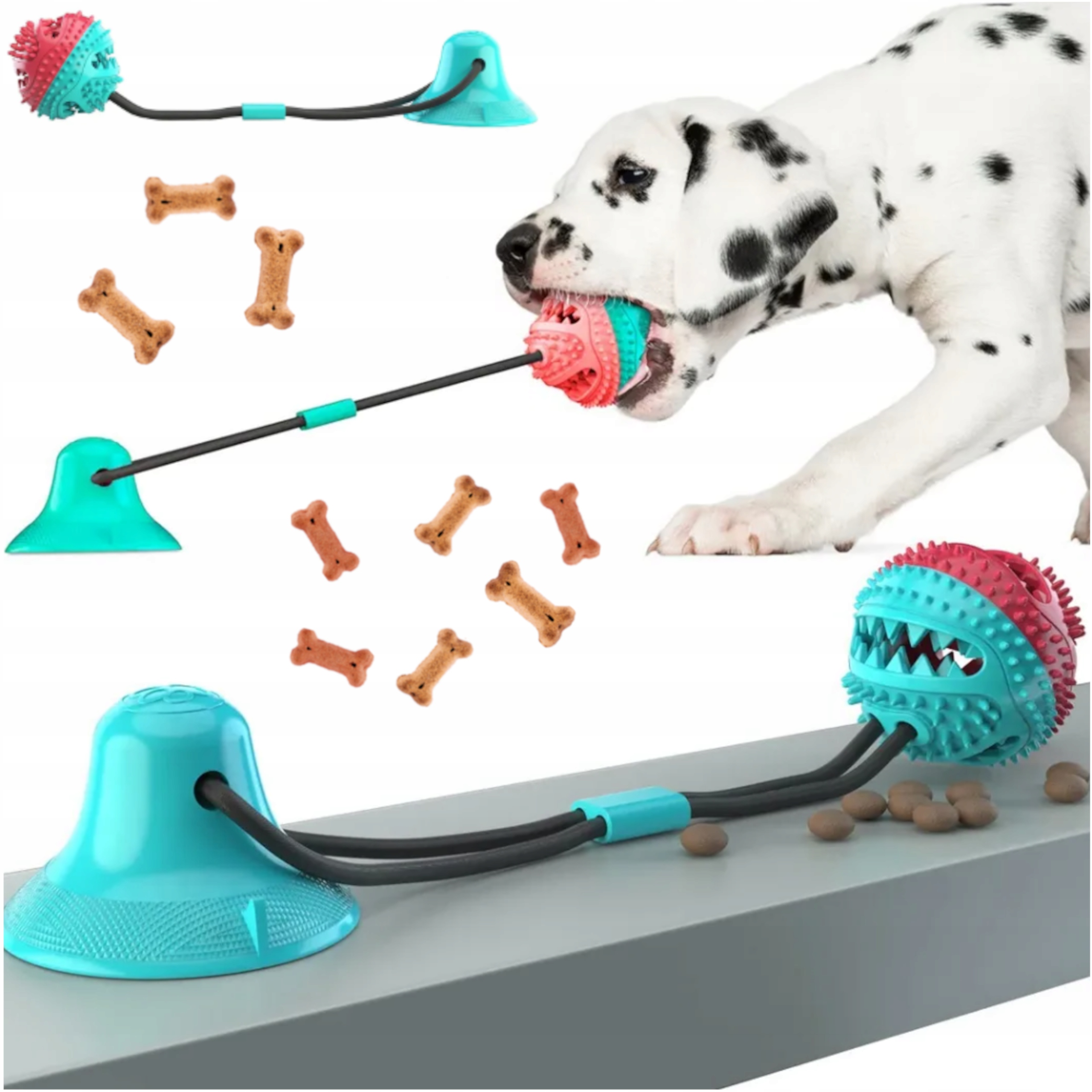 Wspomaganie higieny jamy ustnej – Zdrowe zęby i dziąsła Twojego psa