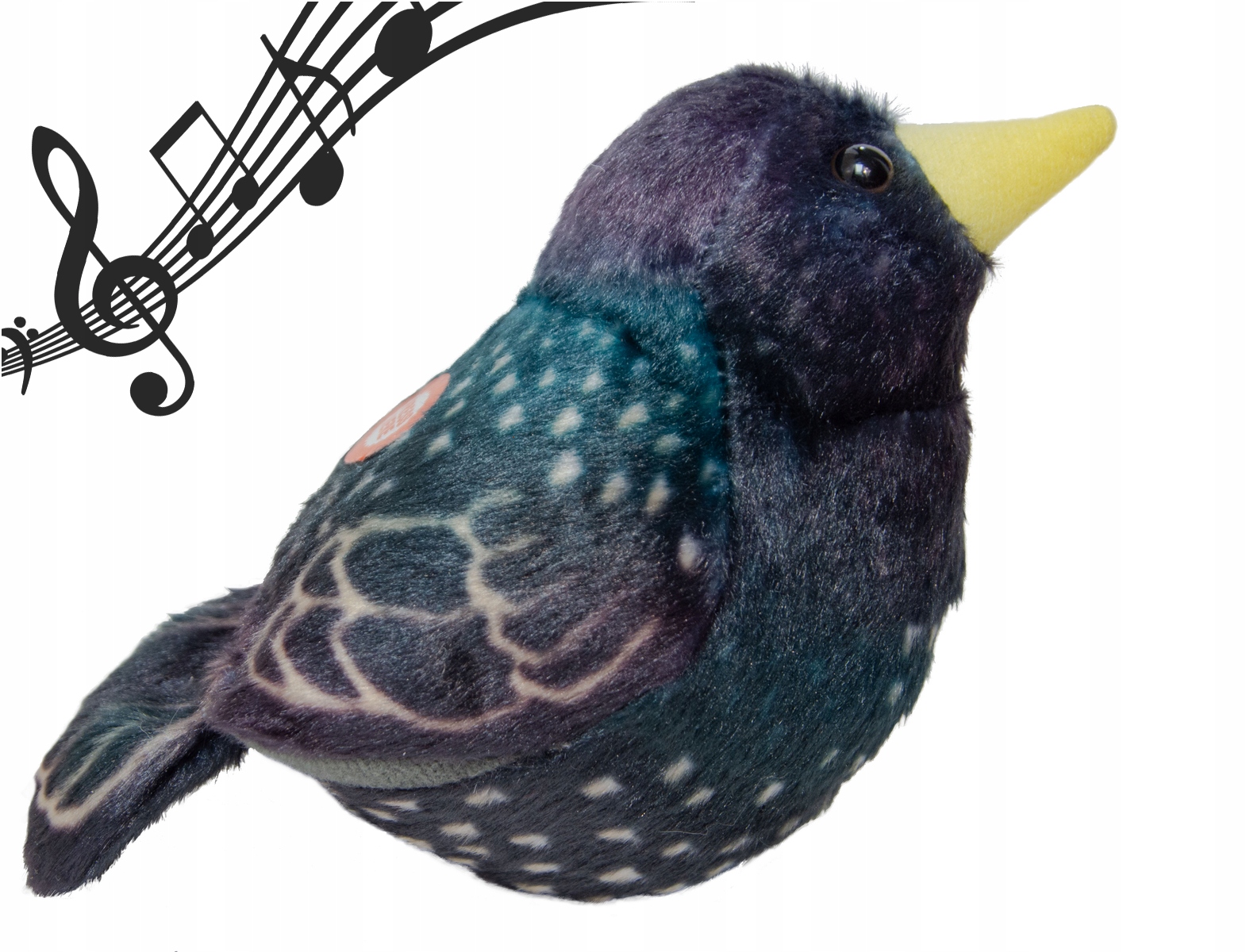 Realistyczny wygląd i dźwięk szpaka