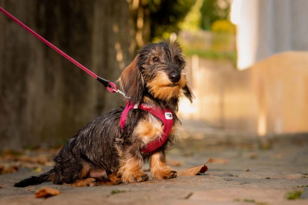 Materiał Air Mesh – lekkość i wentylacja