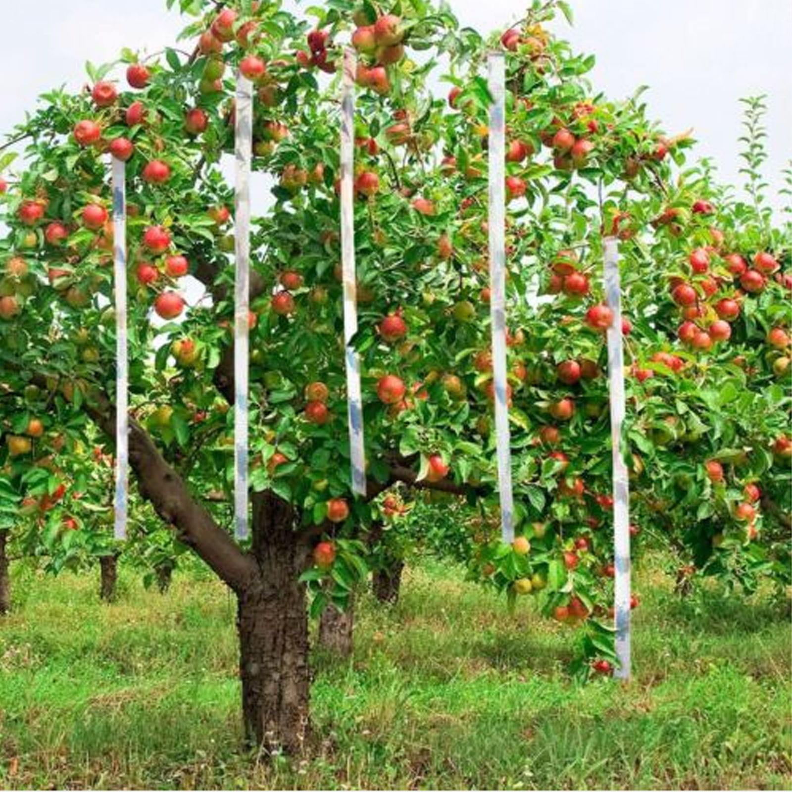Uniwersalne zastosowanie w ogrodzie i na balkonie
