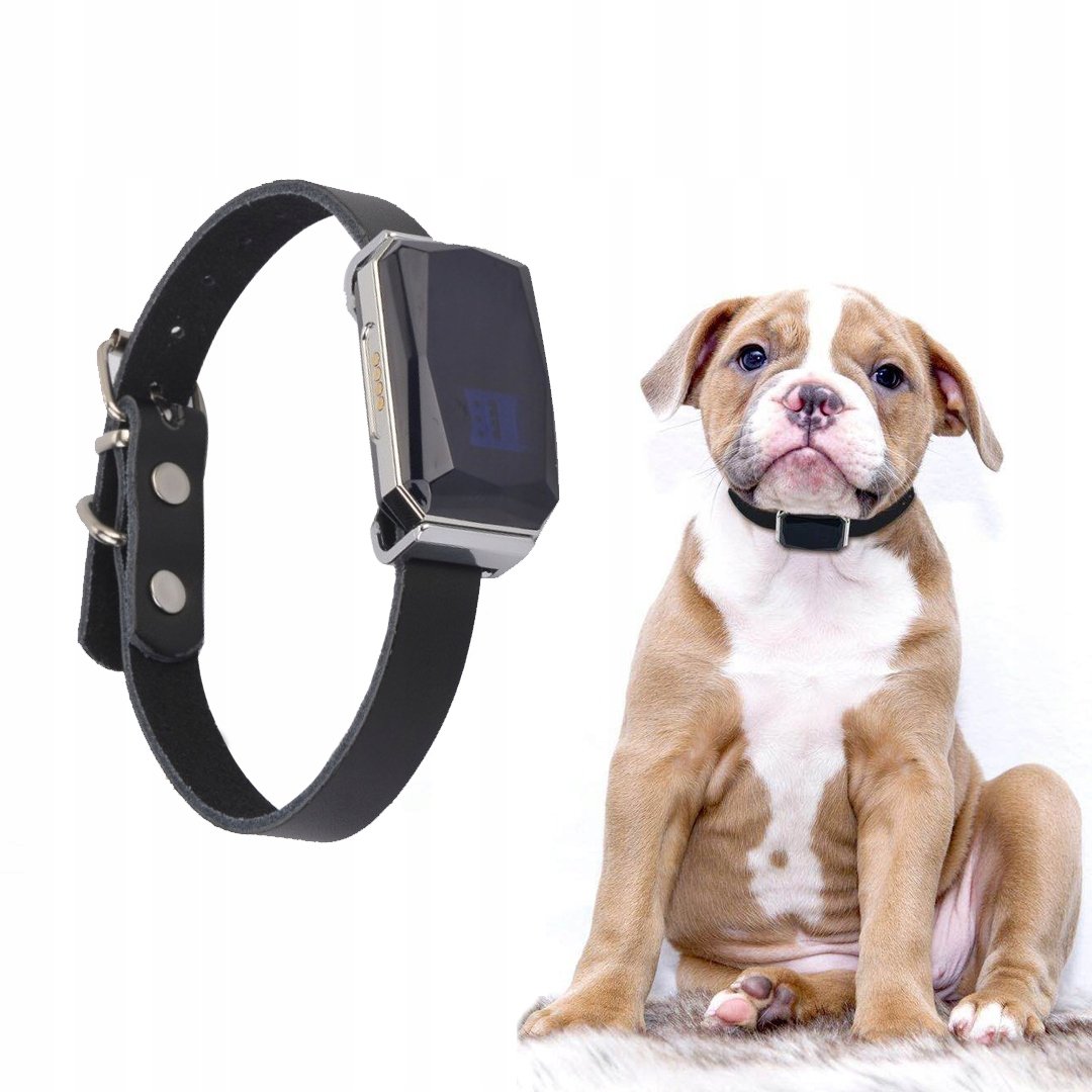 Dodatkowe opcje: podsłuch i nagrywanie dźwięku