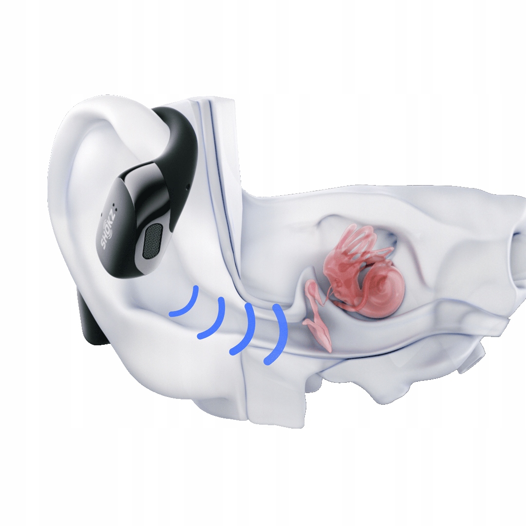 Przeznaczenie: Sport, praca i codzienne użytkowanie