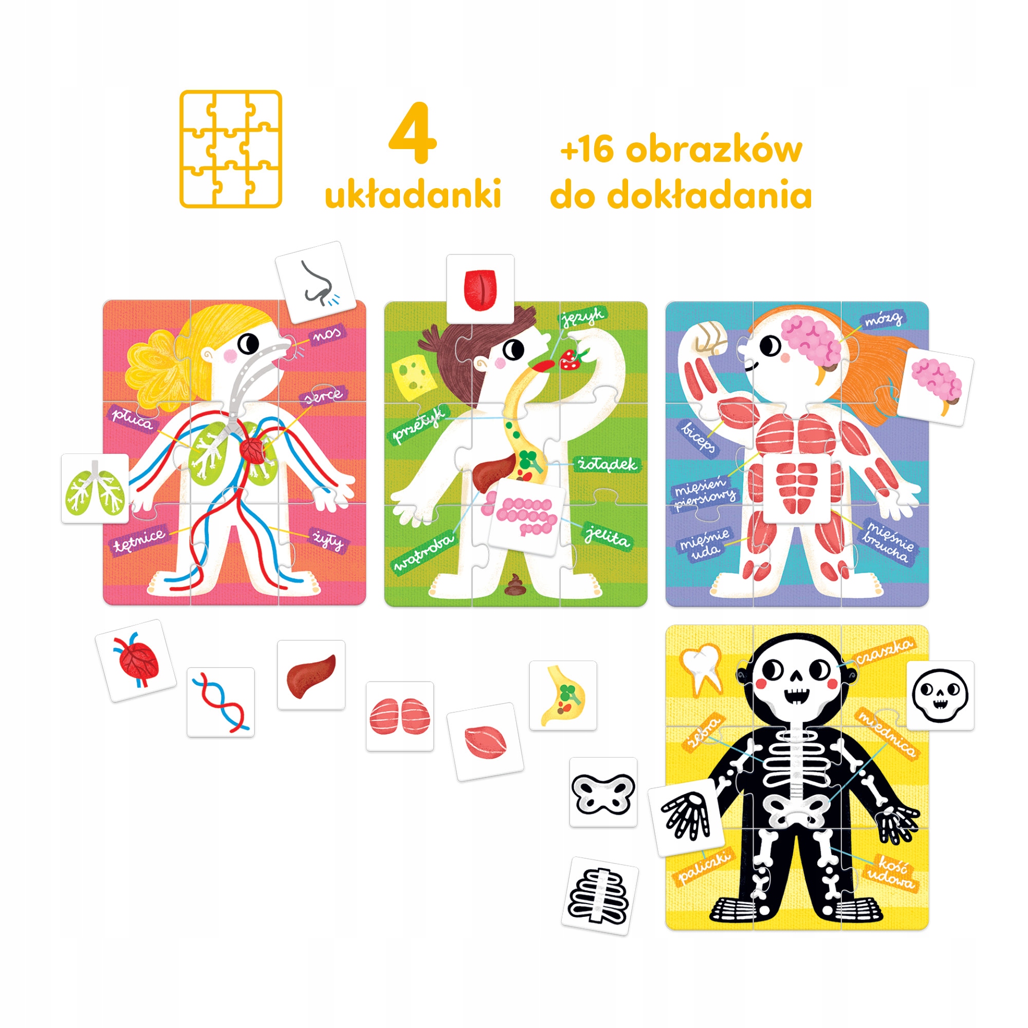 Zestaw zawierający 36 elementów – Układanki i gra w jednym