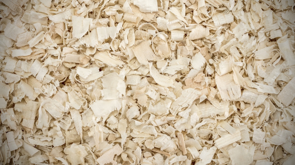 Doskonałe właściwości absorpcyjne trocin Natural-Vit