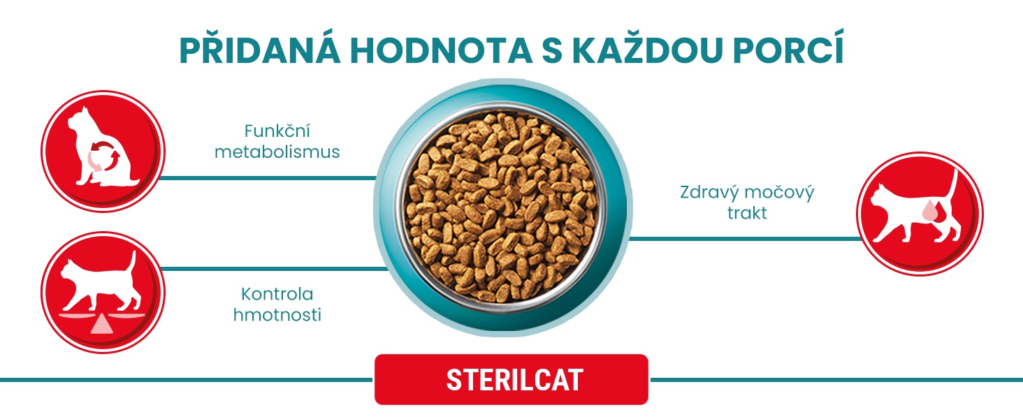 Optymalna zawartość minerałów dla zdrowia dróg moczowych