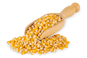 Ikona składnika: Kukurydza