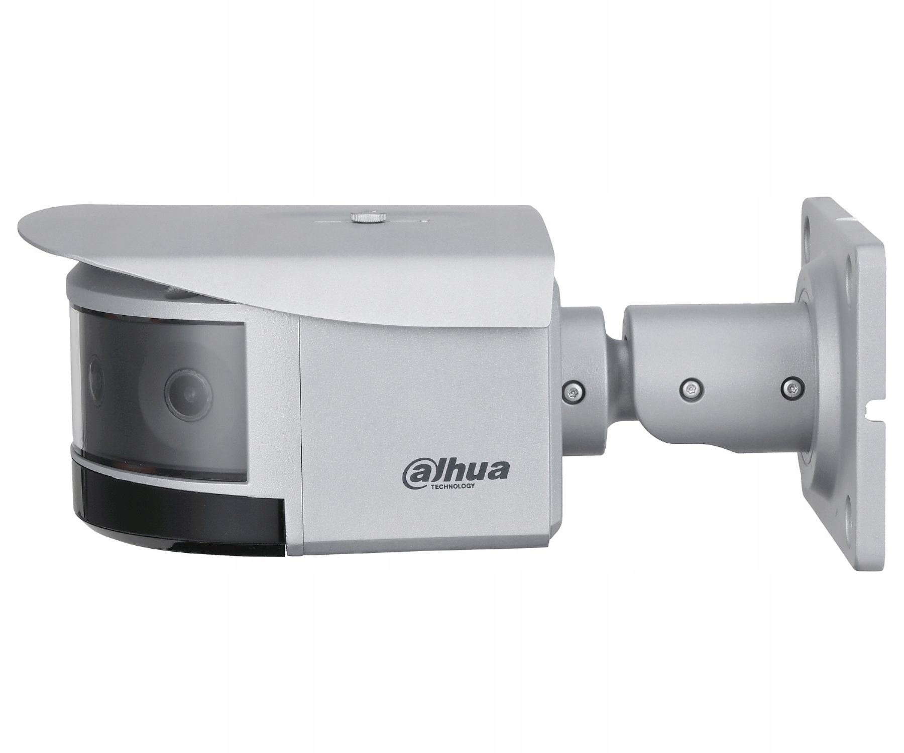 Funkcje detekcji ruchu i analizy IVS